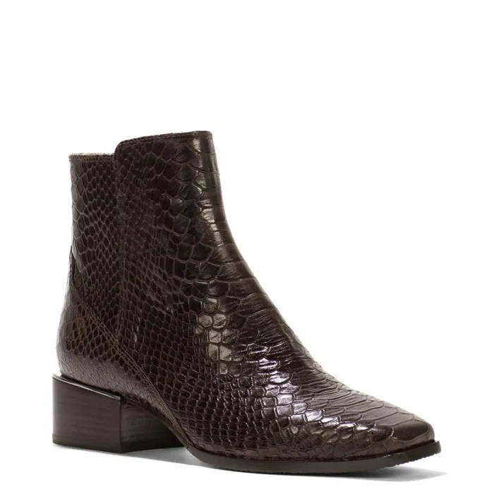 Donald Pliner Bootie Azia Shoes Dark Brown Snake 8211 Women Donald Pliner Bootie Azia Shoes Dark Brown Snake 8211 Women