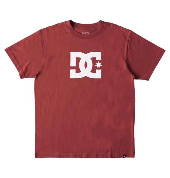 Men DC Shoes TShirts DC Star TShirt Red Earth