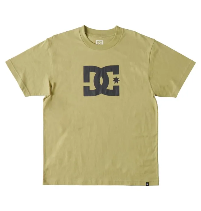 Men DC Shoes TShirts DC Star TShirt Sage