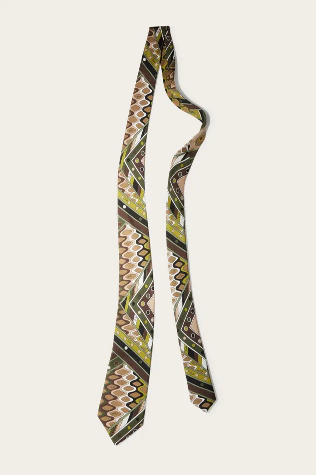 Men Ready To Wear PUCCI VivaraPrint SilkTwill Tie