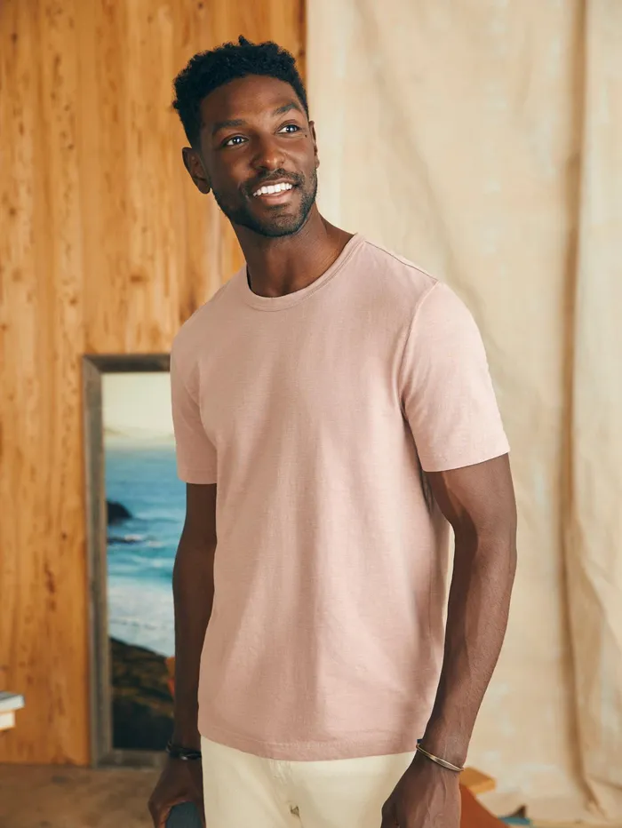 Men TShirts and Henleys Faherty Sunwashed Tee Spring Quartz