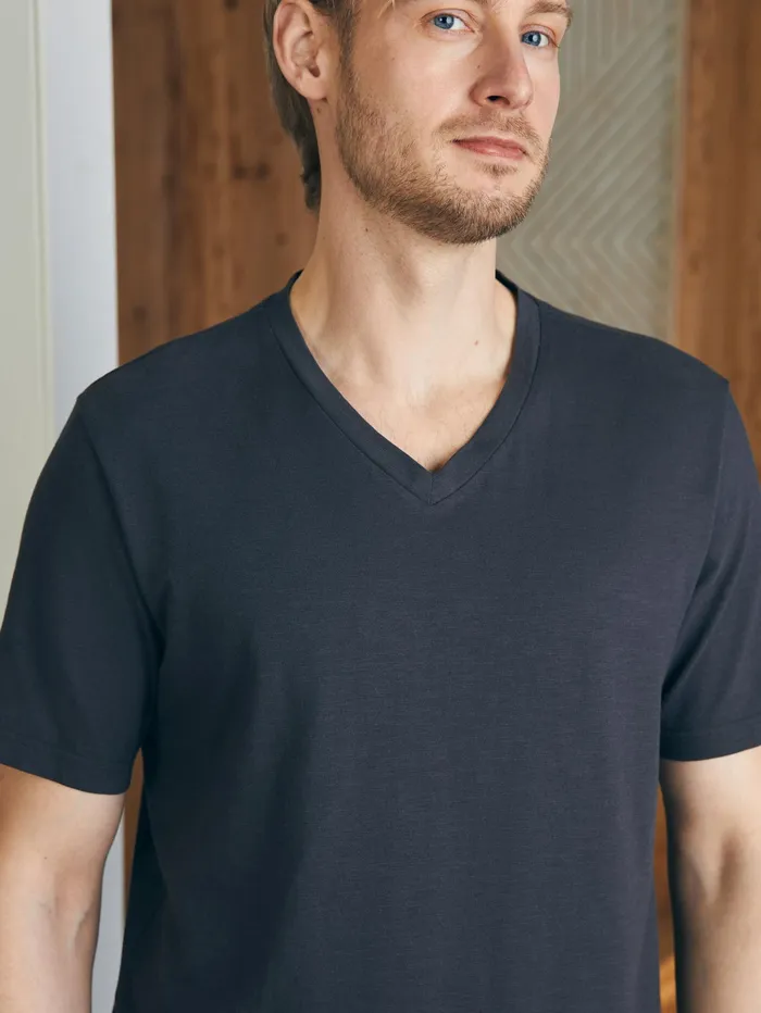 Men TShirts and Henleys Faherty Sunwashed VNeck Tee Washed Black