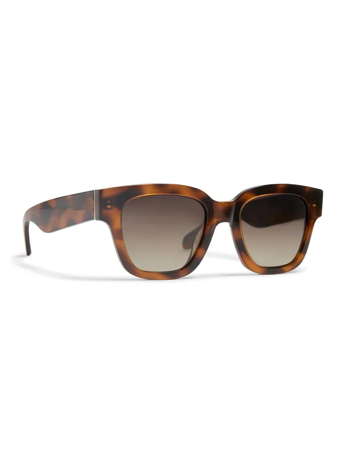 MenWomen Sunglasses Faherty Weber Sunglasses Tortoise