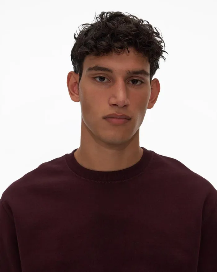 Sweatshirts Men Helmut Lang Patch Crewneck Sweatshirt Crimson Night