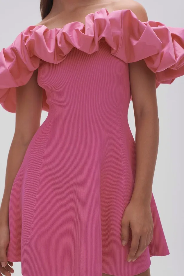 Women Eldora Mini Dress Protea Pink Aje Dresses