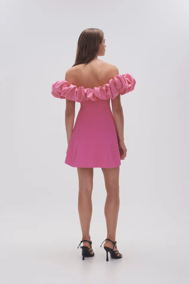 Women Eldora Mini Dress Protea Pink Aje Dresses
